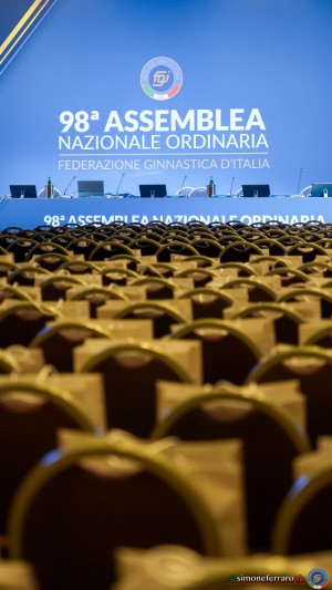 fgi assemblea elettiva sfe03570 copia simone ferraro ph